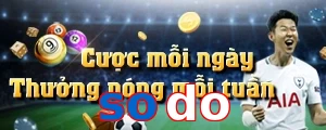 sodo